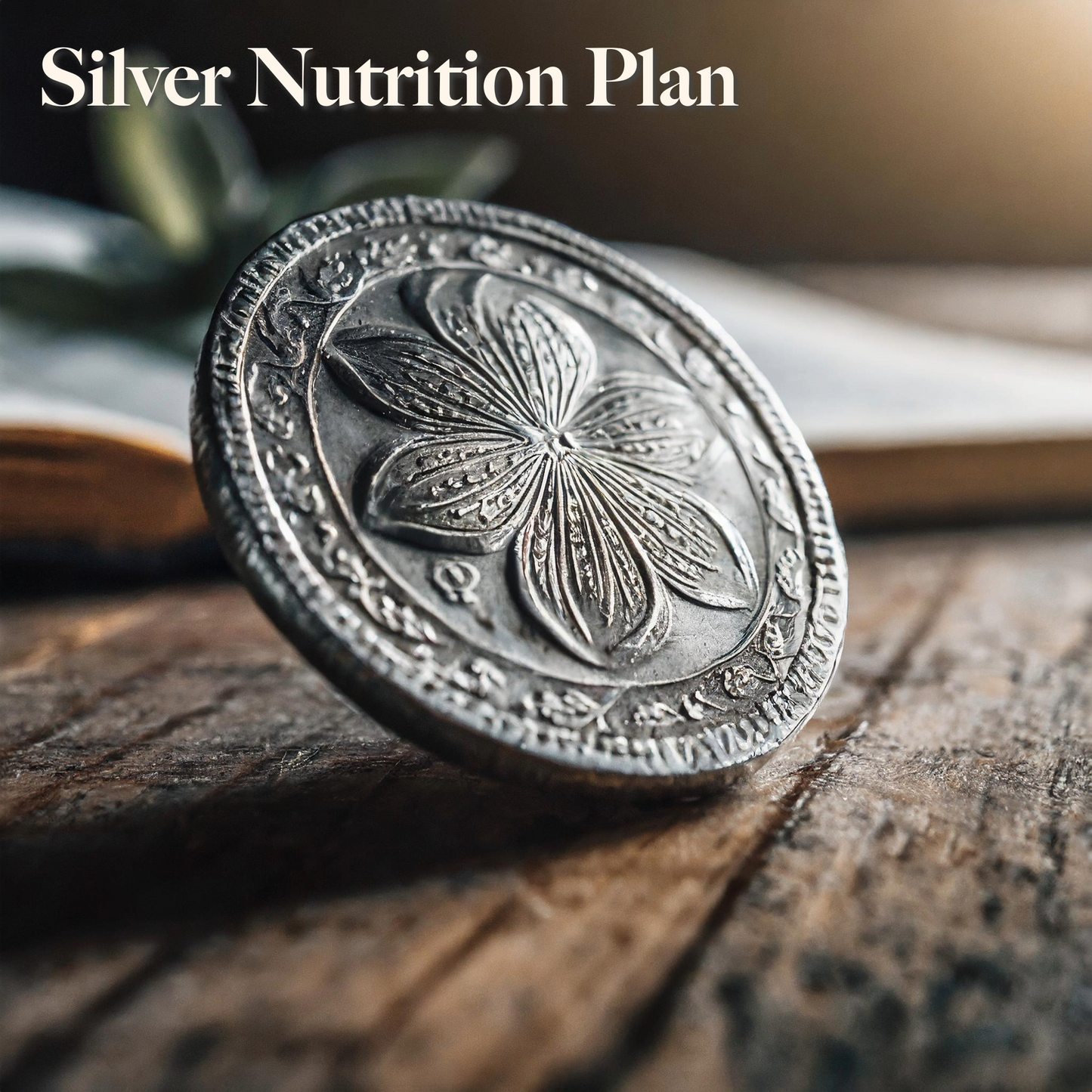 Silver Nutrition Plan